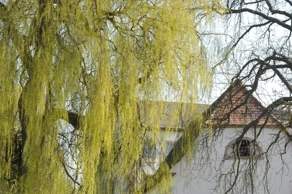 Zeiskamer Muehle Экстерьер фото
